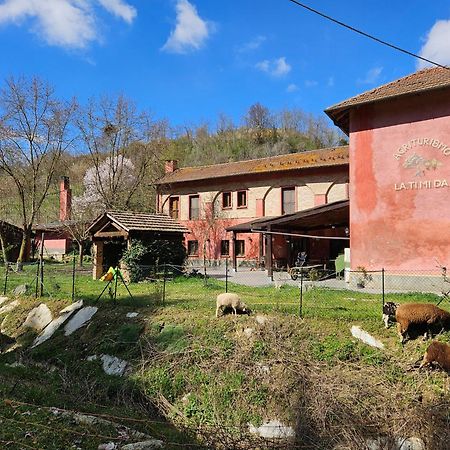 Villa Agriturismo La.Ti.Mi.Da. Cassine Exterior foto