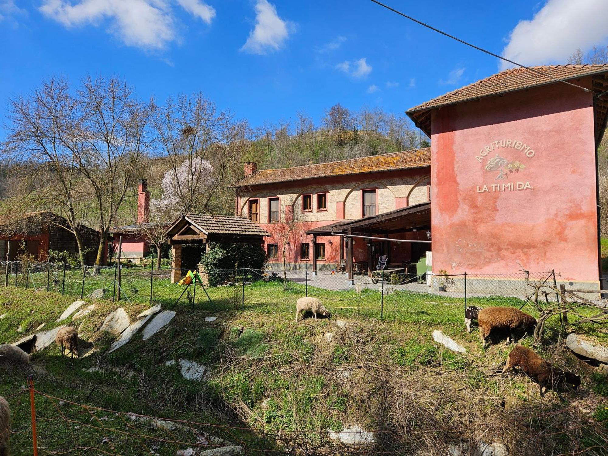 Villa Agriturismo La.Ti.Mi.Da. Cassine Exterior foto