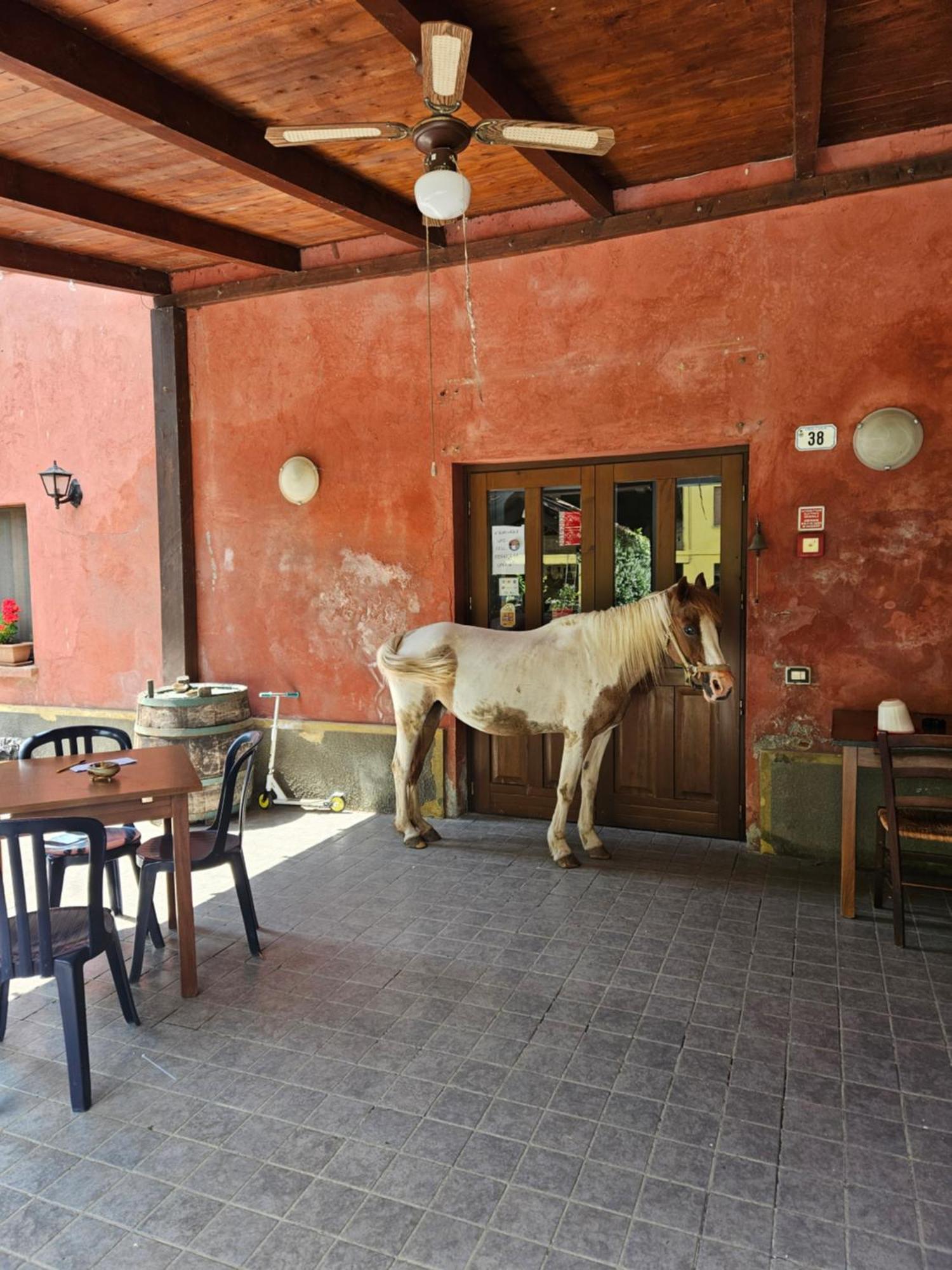 Villa Agriturismo La.Ti.Mi.Da. Cassine Exterior foto